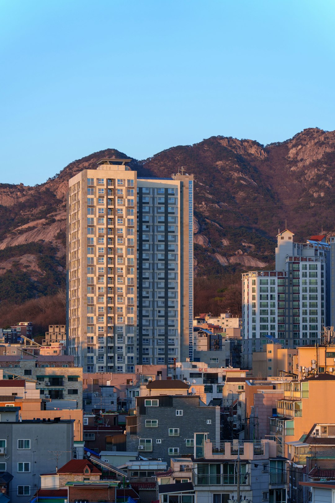 2025년 서울 도심 아파트 단지가 고층 빌딩과 함께 보이며 10·15 대책과 3+3+3 법안으로 인한 집값·전세시장 변화를 상징함